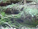 DSC01715