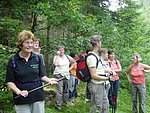 DSC01136.JPG